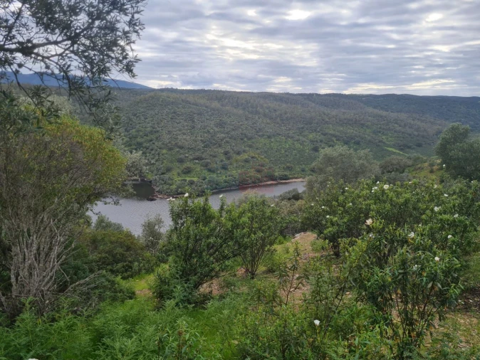 Terreno para Venda em Rosmaninhal Foto 12