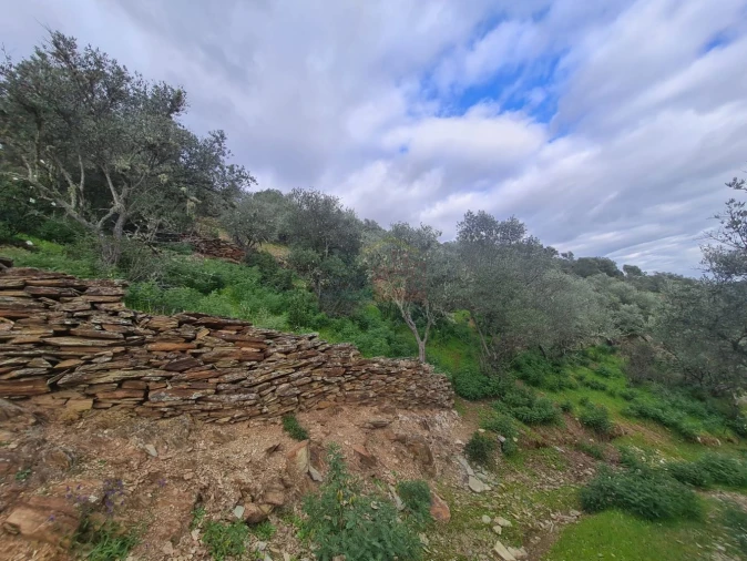 Terreno para Venda em Rosmaninhal Foto 1