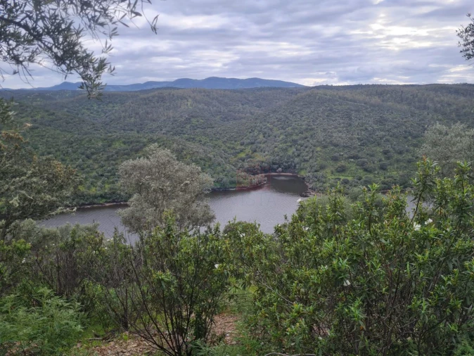 Terreno para Venda em Rosmaninhal Foto 13