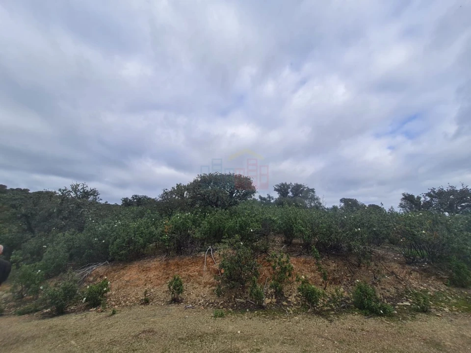 Terreno para Venda em Rosmaninhal Foto 7