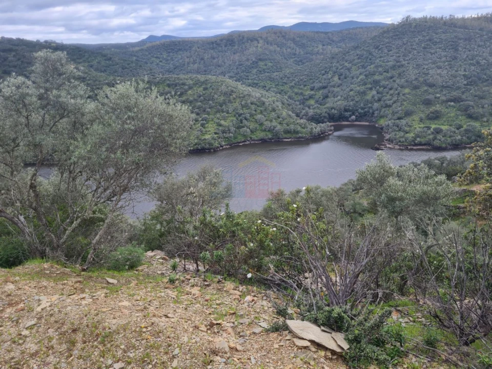 Terreno para Venda em Rosmaninhal Foto 8