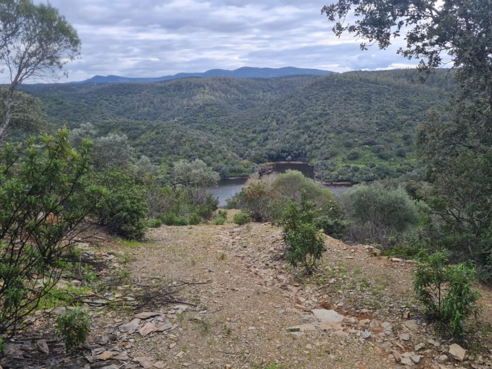 Terreno para Venda em Rosmaninhal Foto 5