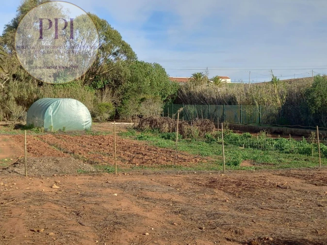 Quinta T3 para Venda em Vila do Bispo e Raposeira Foto 25