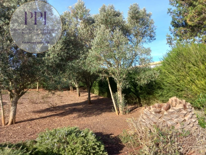 Quinta T3 para Venda em Vila do Bispo e Raposeira Foto 23