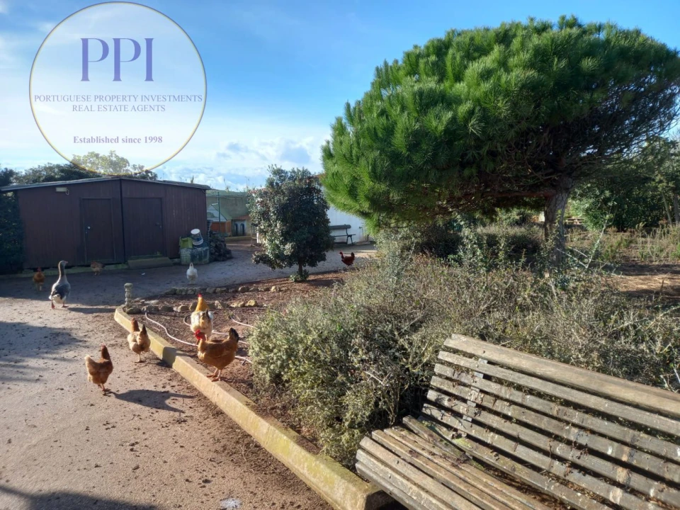 Quinta T3 para Venda em Vila do Bispo e Raposeira Foto 21