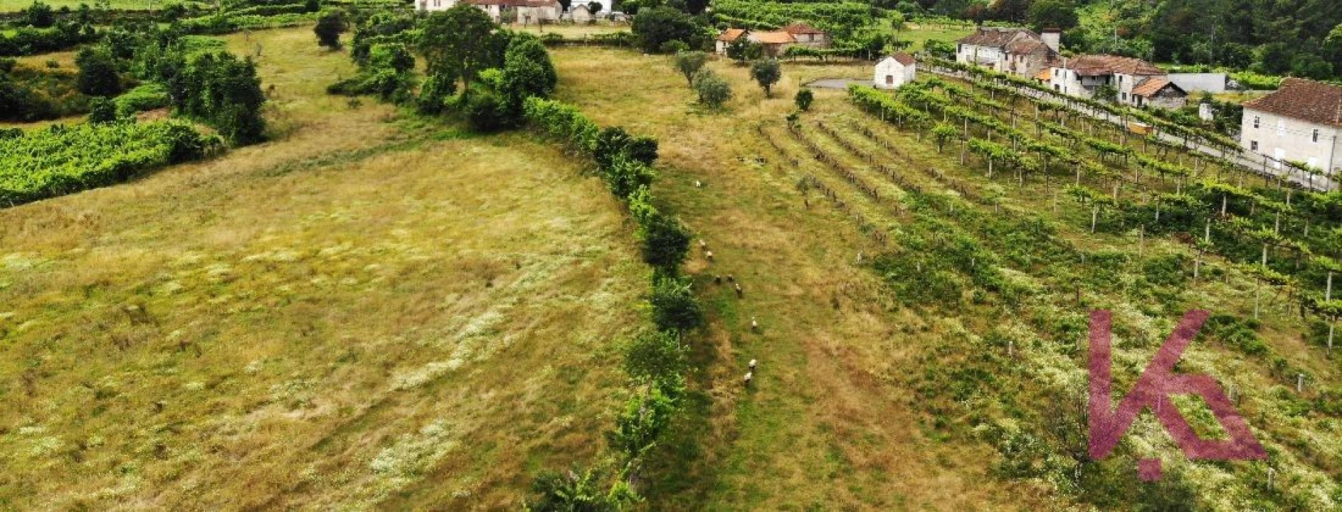 Quinta T4 para Venda em Amarante (São Gonçalo), Madalena, Cepelos e Gatão Foto 14