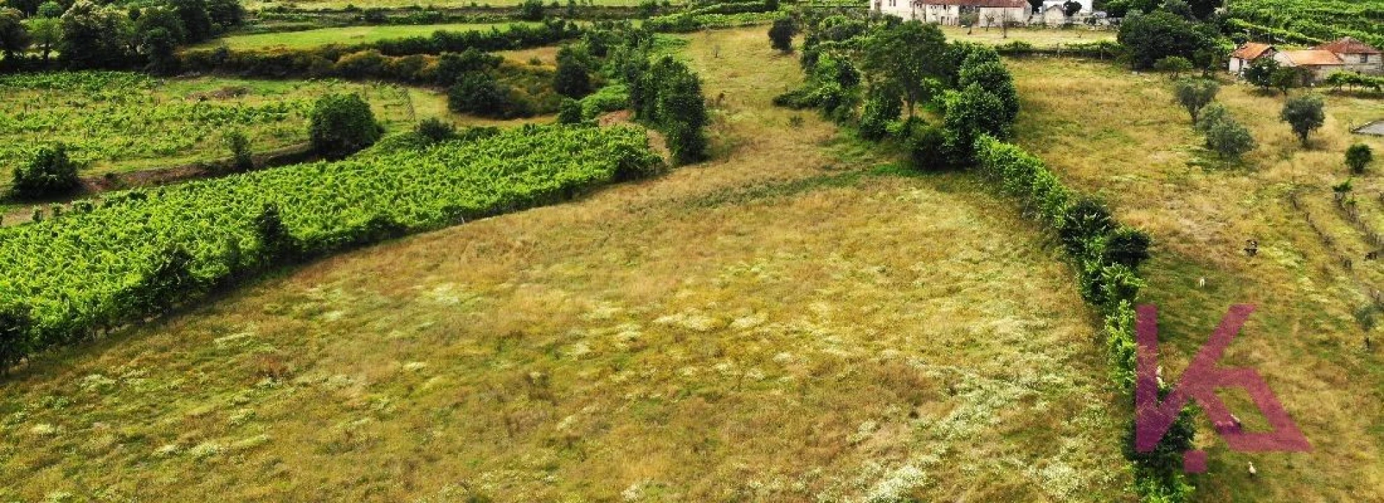 Quinta T4 para Venda em Amarante (São Gonçalo), Madalena, Cepelos e Gatão Foto 13