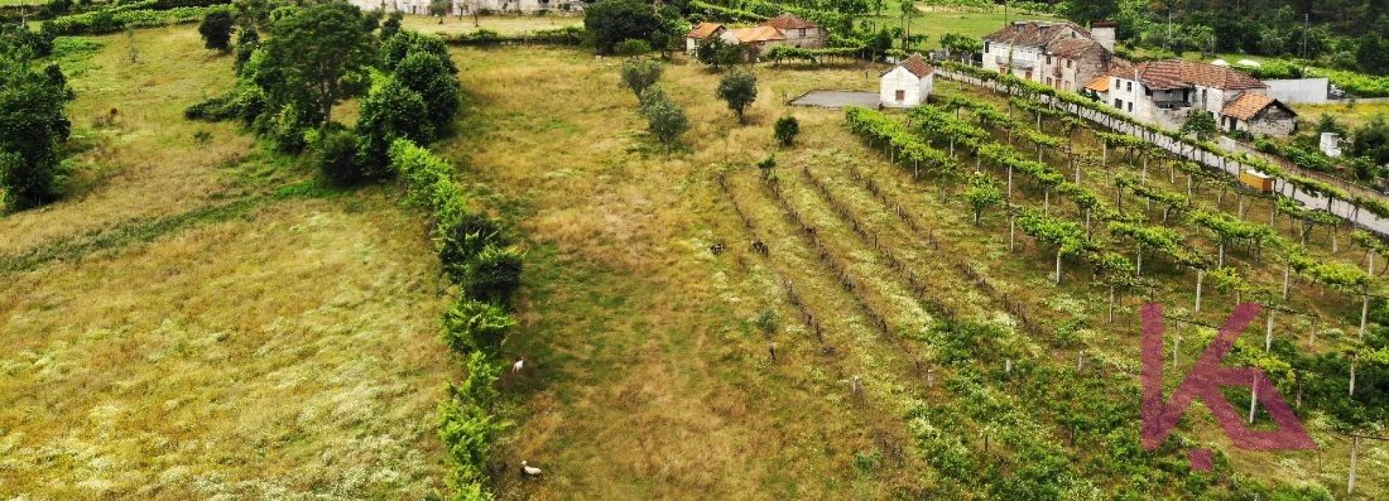 Quinta T4 para Venda em Amarante (São Gonçalo), Madalena, Cepelos e Gatão Foto 12