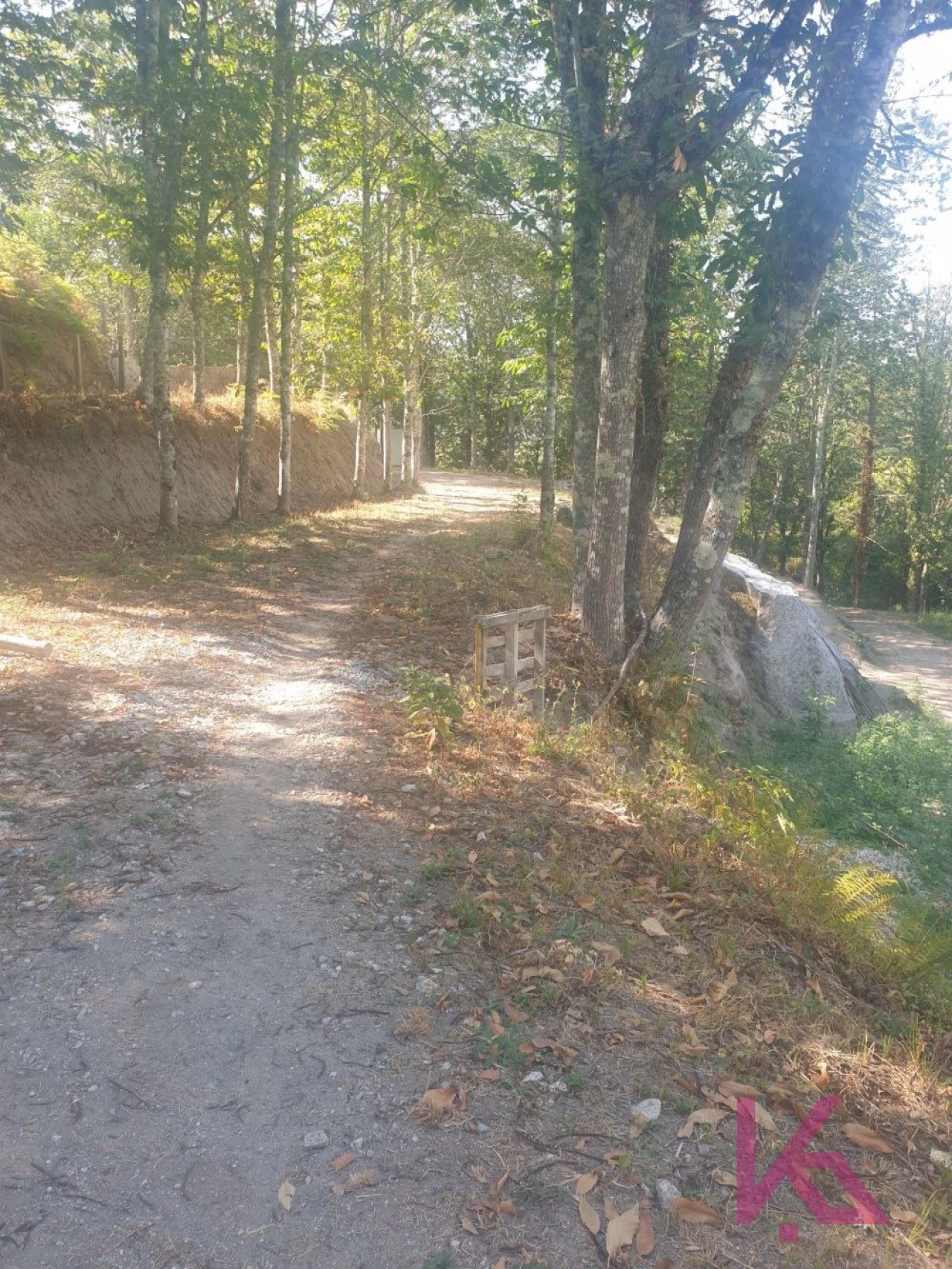 Quinta T0 para Venda em Amarante (São Gonçalo), Madalena, Cepelos e Gatão Foto 3