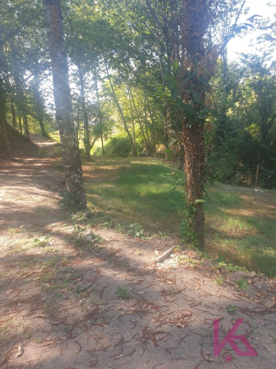 Quinta T0 para Venda em Amarante (São Gonçalo), Madalena, Cepelos e Gatão Foto 7