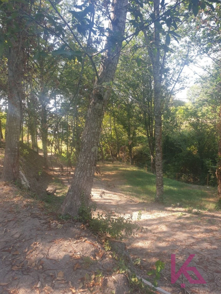 Quinta T0 para Venda em Amarante (São Gonçalo), Madalena, Cepelos e Gatão Foto 6