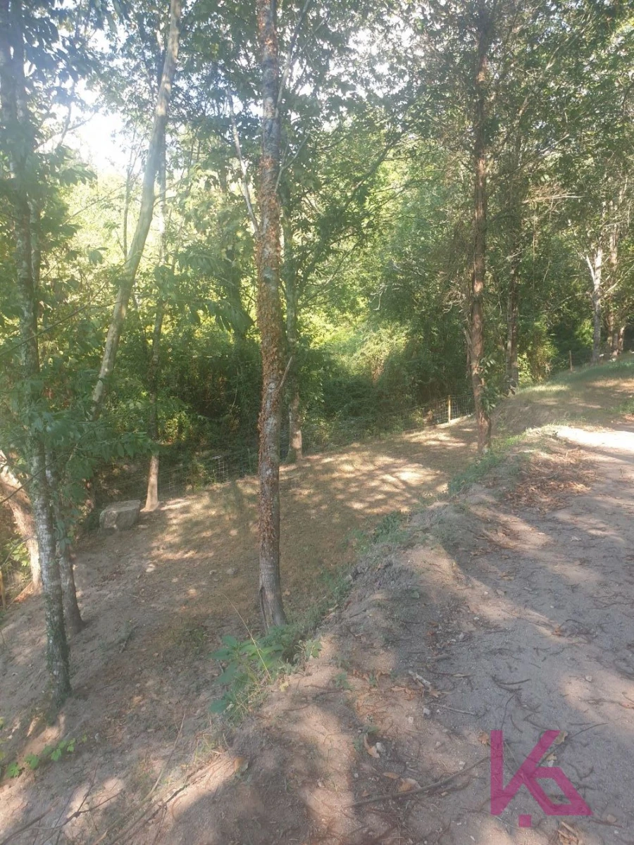 Quinta T0 para Venda em Amarante (São Gonçalo), Madalena, Cepelos e Gatão Foto 9