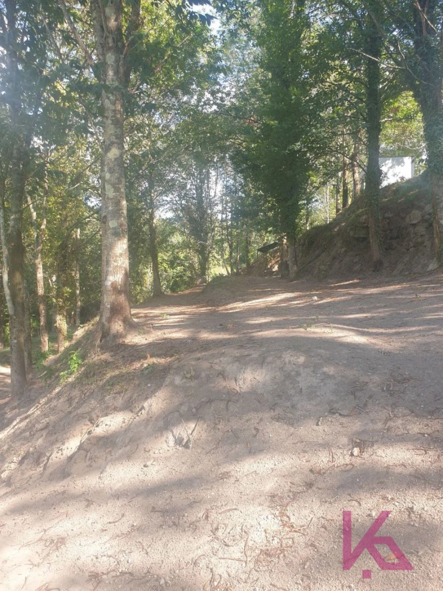 Quinta T0 para Venda em Amarante (São Gonçalo), Madalena, Cepelos e Gatão Foto 10