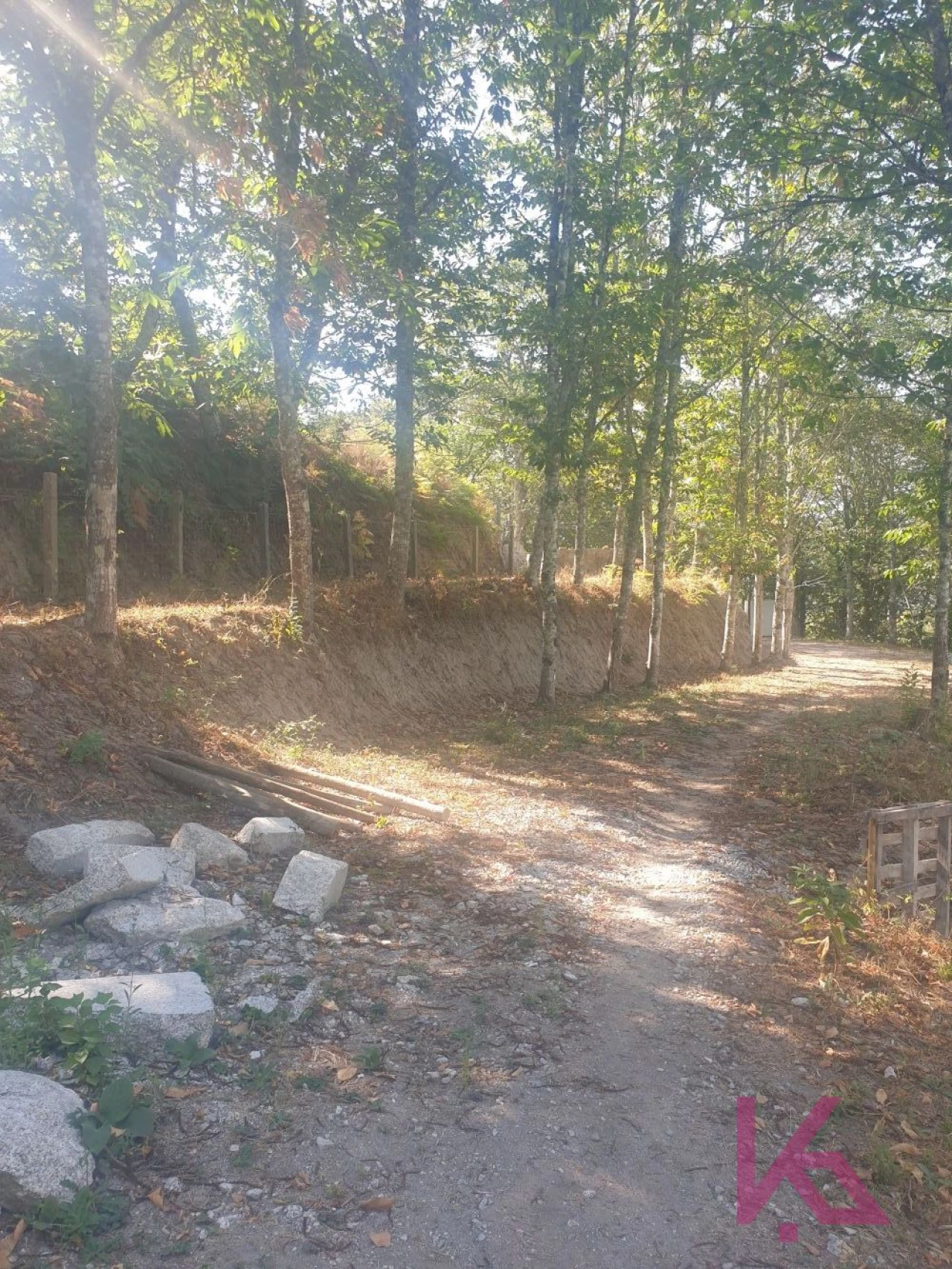Quinta T0 para Venda em Amarante (São Gonçalo), Madalena, Cepelos e Gatão Foto 4