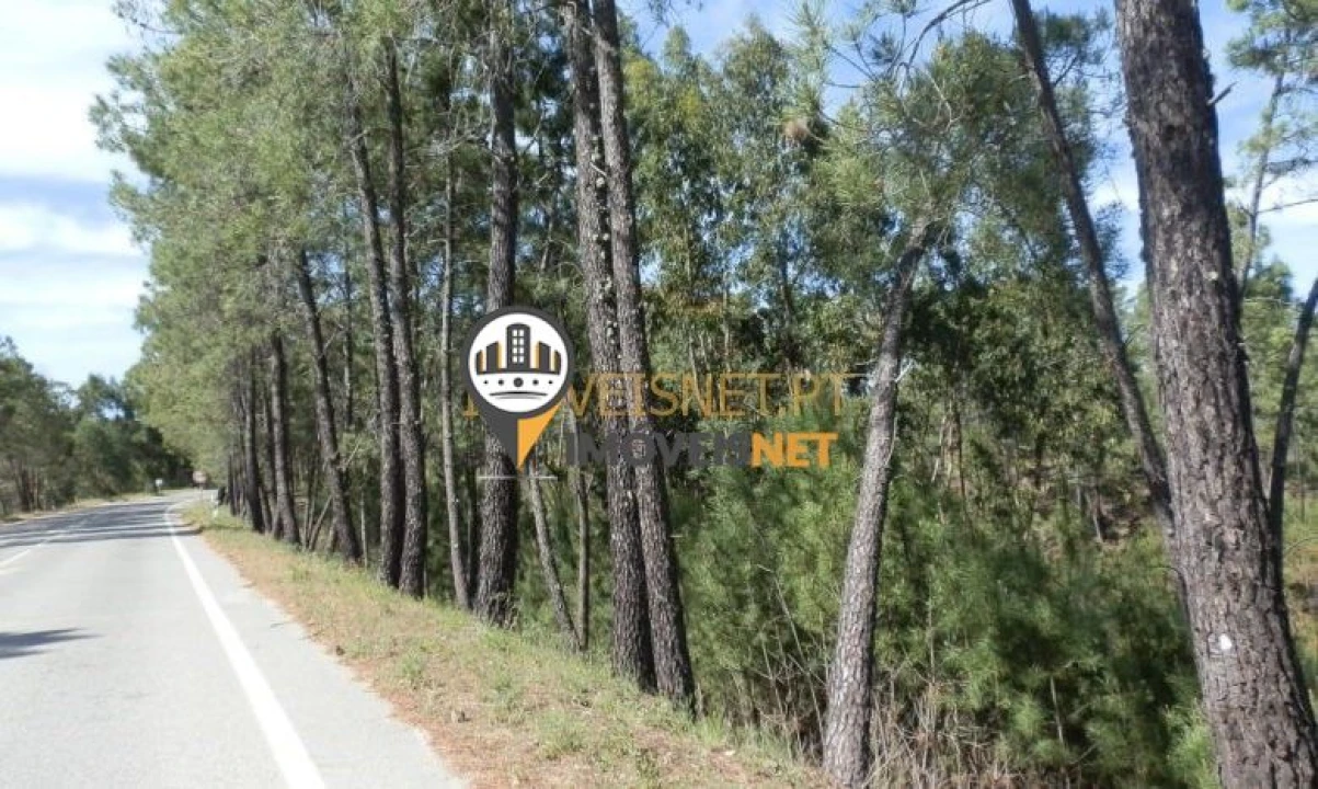 Terreno para Venda em Proença-A-Nova e Peral Foto 1