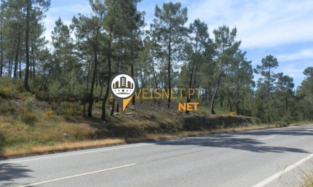 Terreno para Venda em Proença-A-Nova e Peral Foto 4
