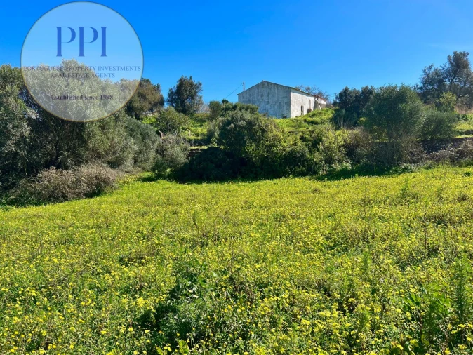 Quinta T2 para Venda em Lagos (São Sebastião e Santa Maria) Foto 3