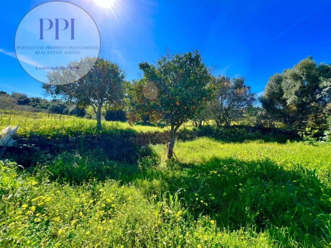 Quinta T2 para Venda em Lagos (São Sebastião e Santa Maria) Foto 14