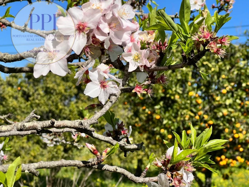 Quinta T2 para Venda em Lagos (São Sebastião e Santa Maria) Foto 38
