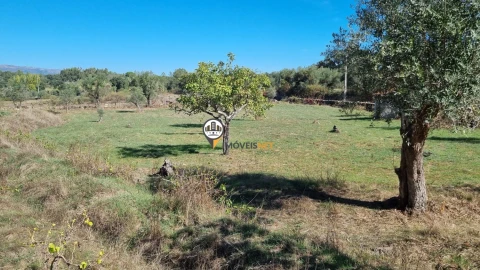 Terreno para Venda em Castelo Branco