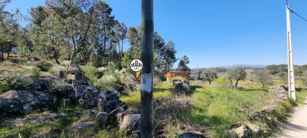 Terreno para Venda em Castelo Branco