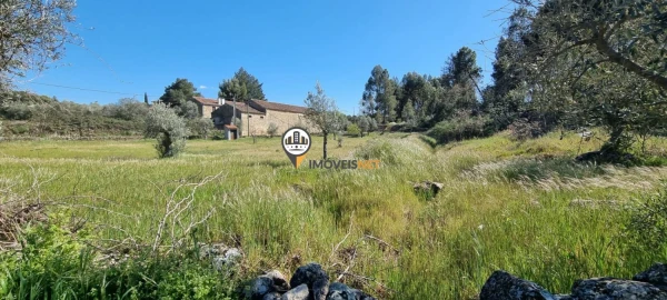 Terreno para Venda em Castelo Branco