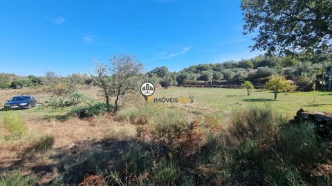 Terreno para Venda em Castelo Branco