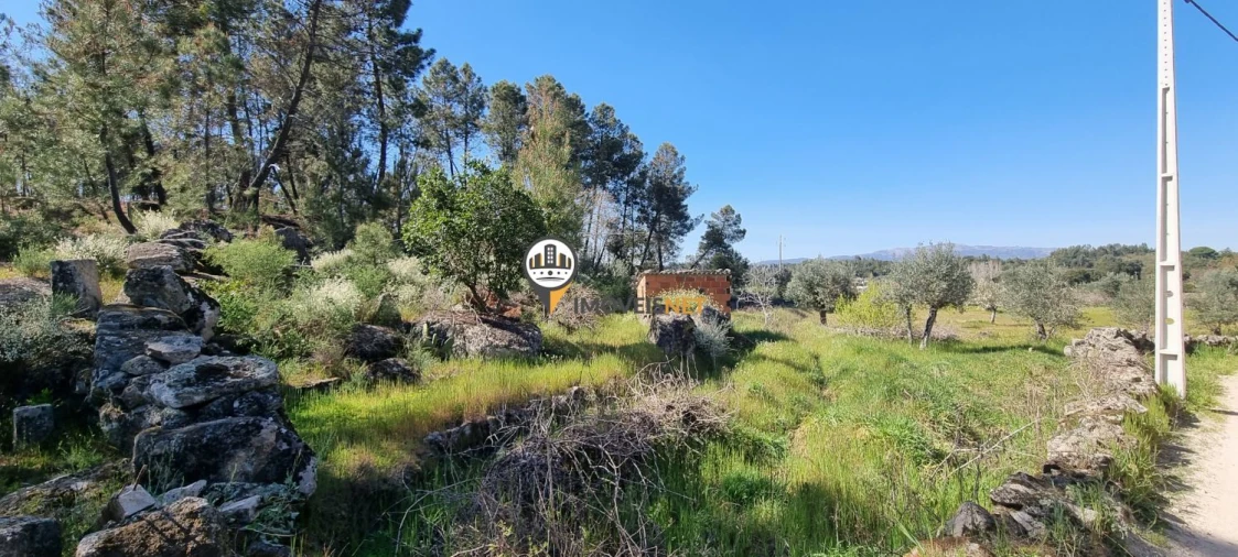 Terreno para Venda em Castelo Branco Foto 18