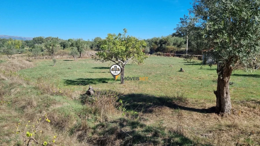 Terreno para Venda em Castelo Branco Foto 12