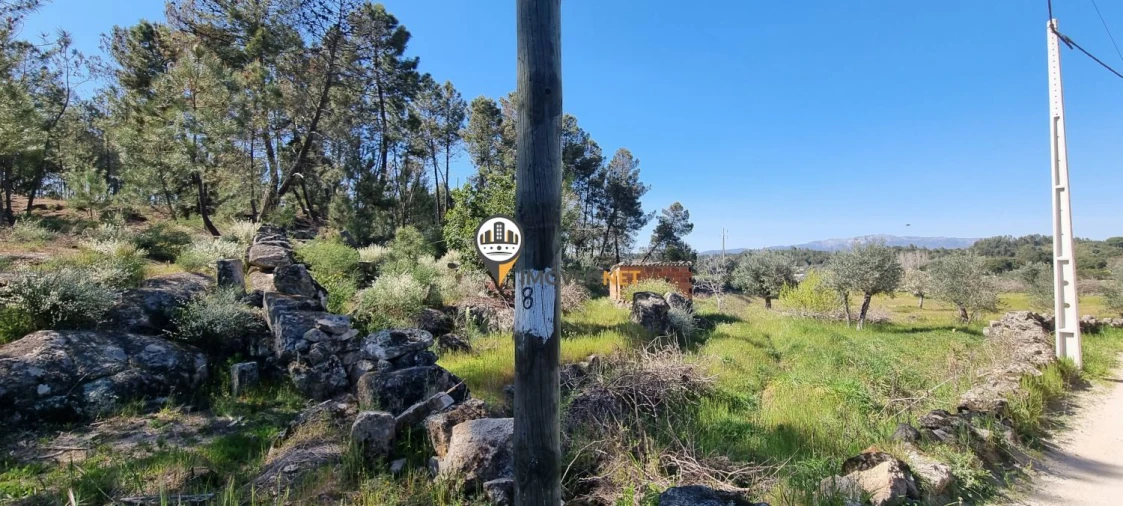 Terreno para Venda em Castelo Branco Foto 17