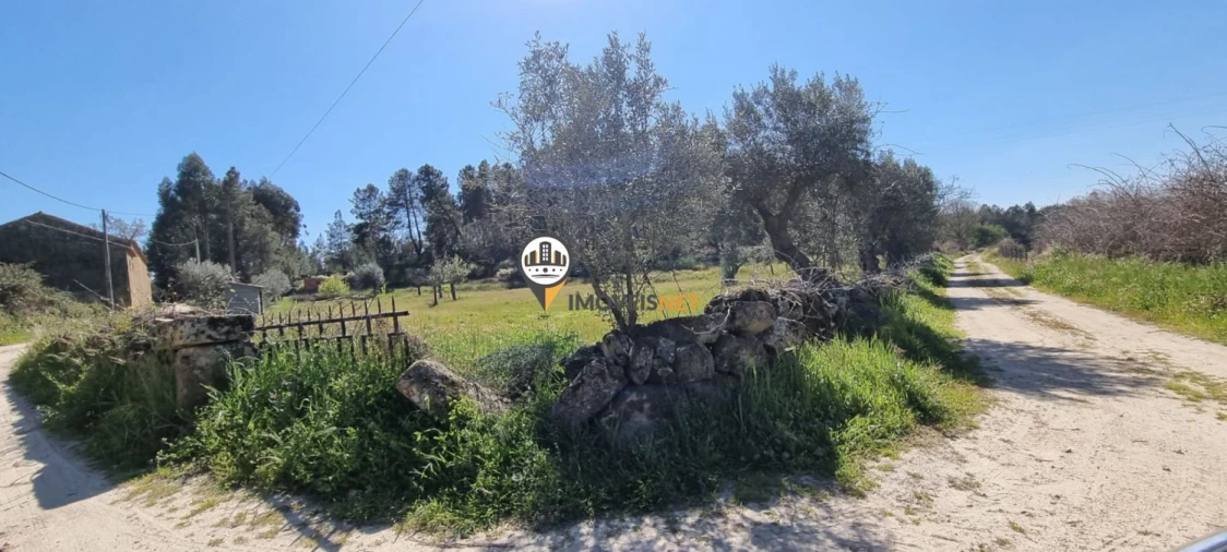 Terreno para Venda em Castelo Branco Foto 6