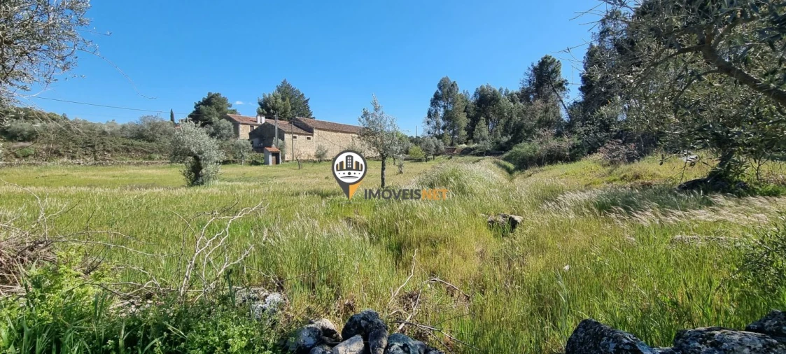Terreno para Venda em Castelo Branco Foto 15