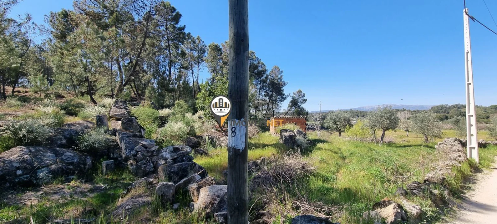 Terreno para Venda em Castelo Branco Foto 17