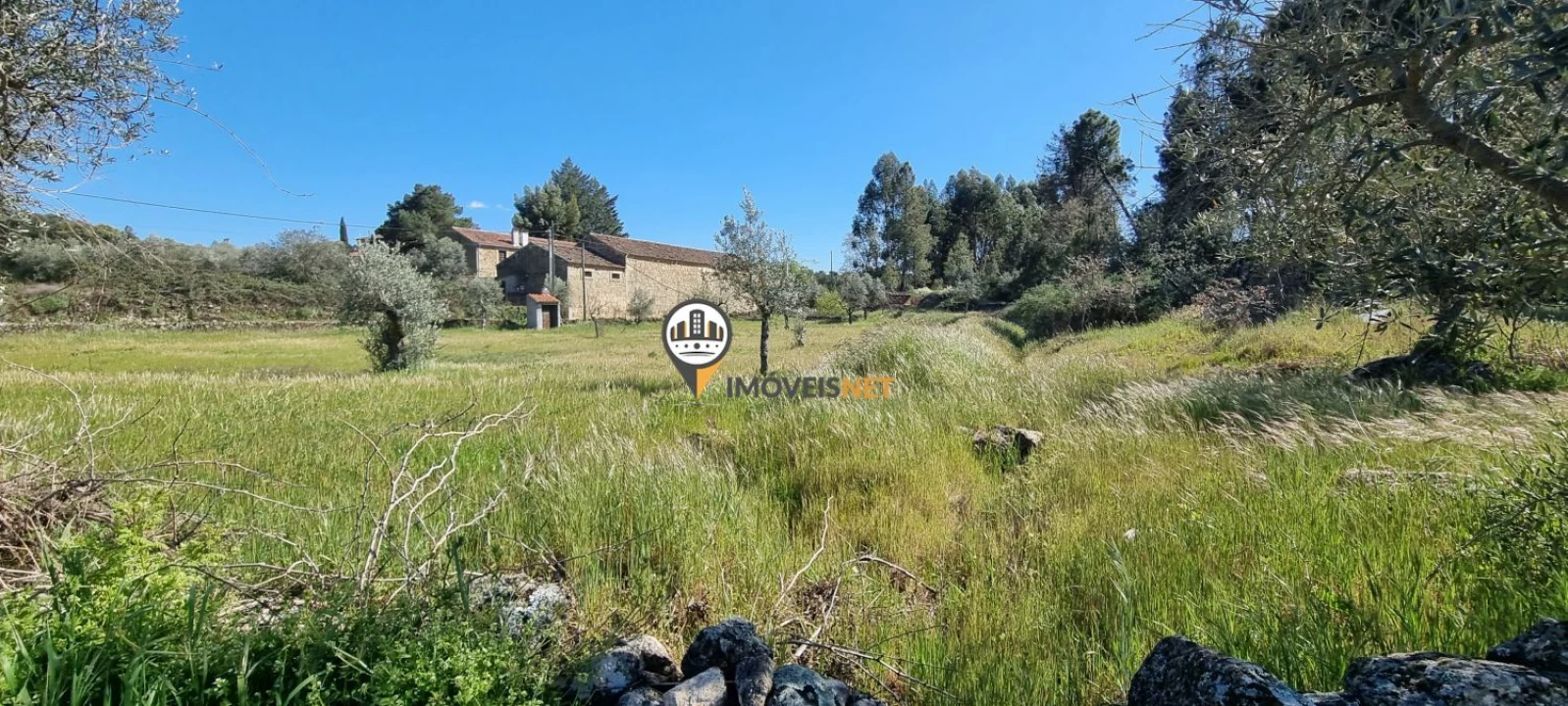 Terreno para Venda em Castelo Branco Foto 15