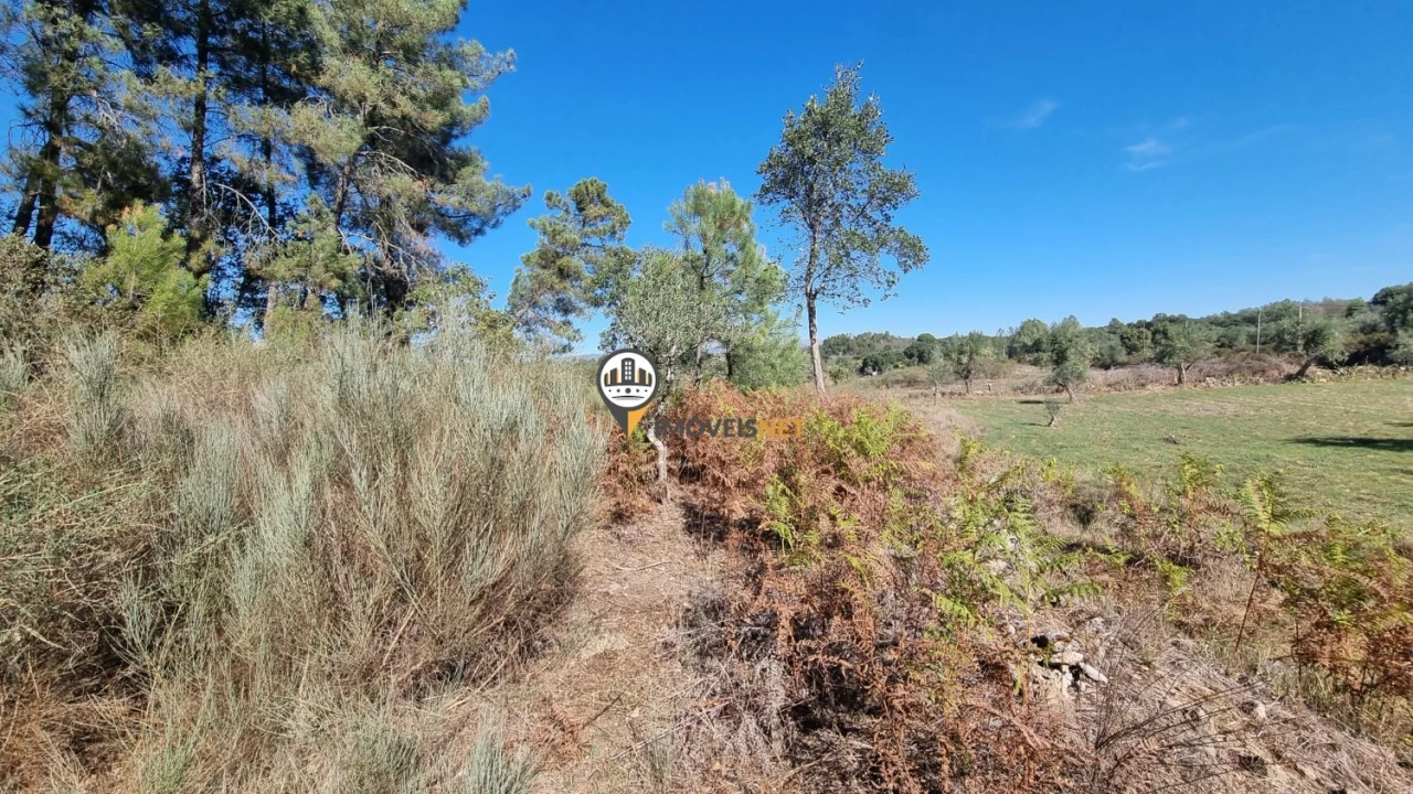 Terreno para Venda em Castelo Branco Foto 13