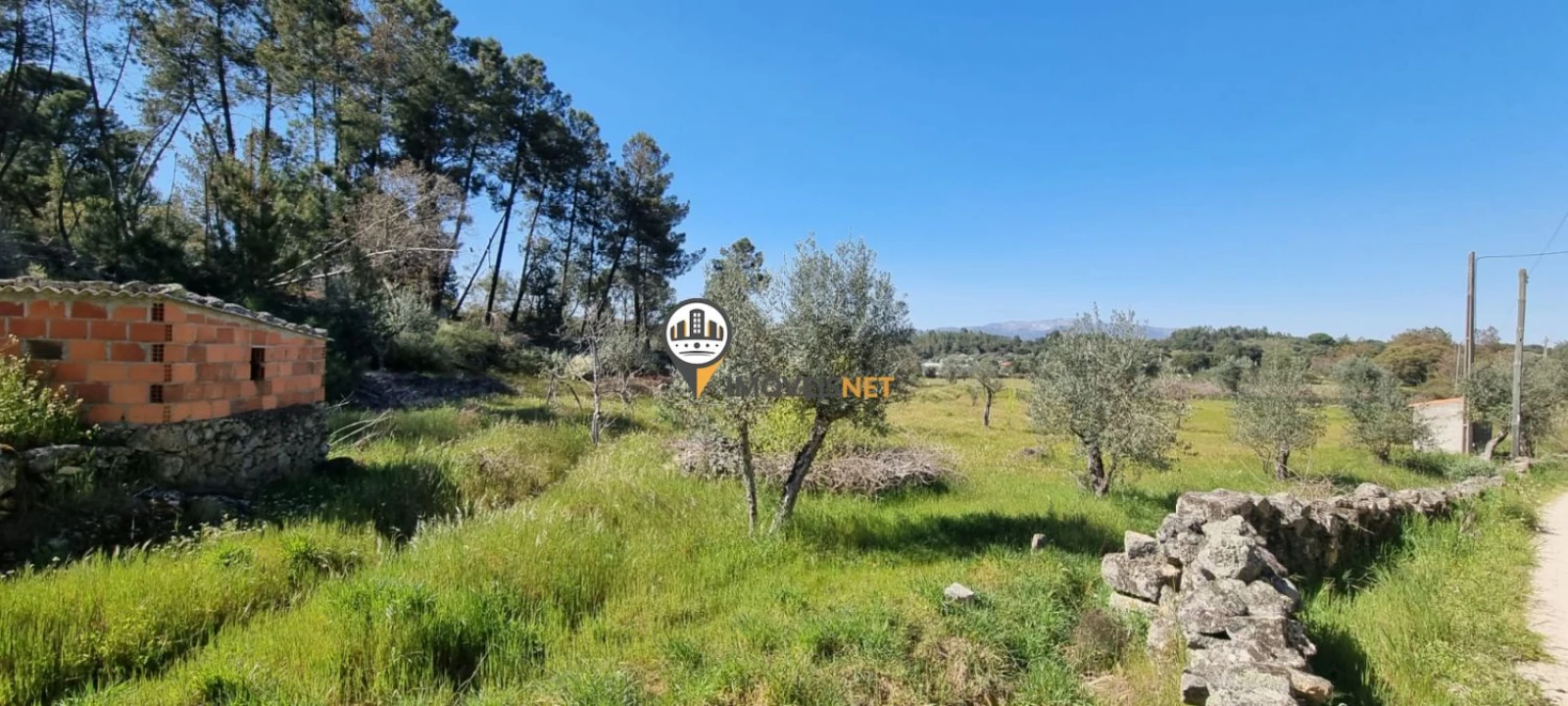 Terreno para Venda em Castelo Branco Foto 8