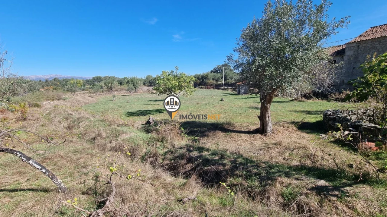 Terreno para Venda em Castelo Branco Foto 5