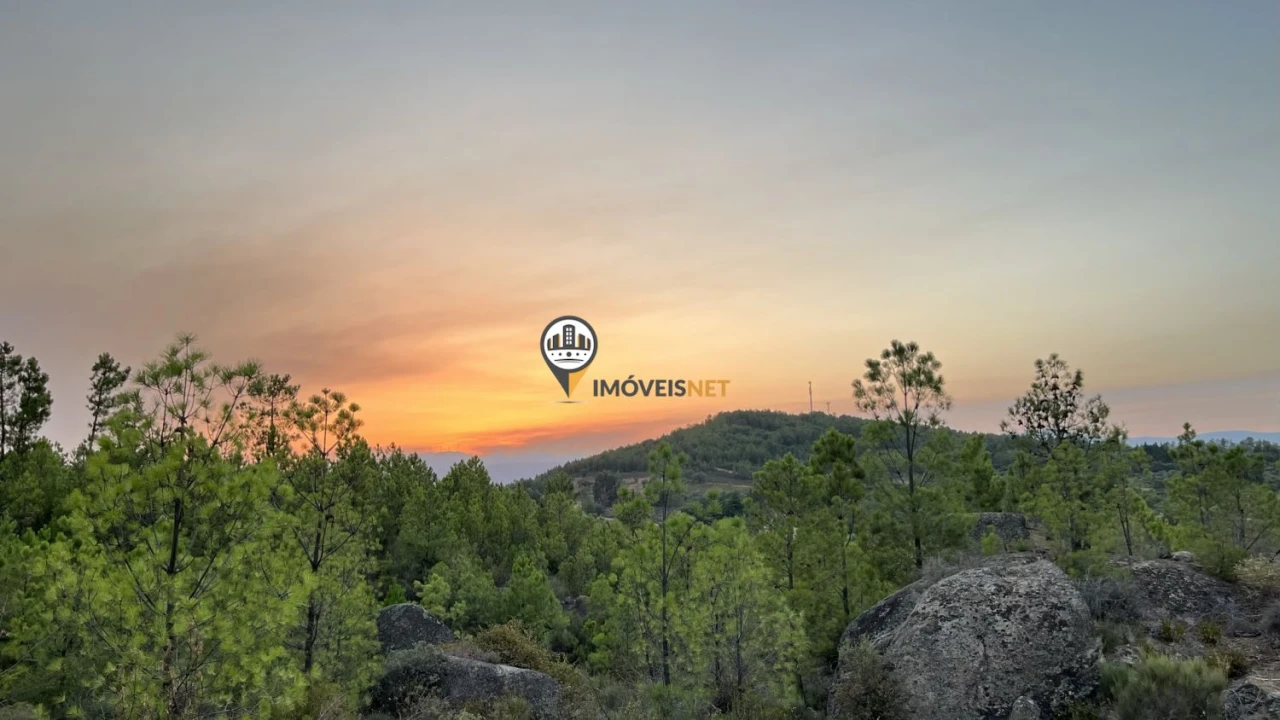 Terreno para Venda em Castelo Branco Foto 4