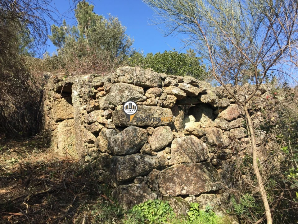 Terreno para Venda em Castelo Branco Foto 10