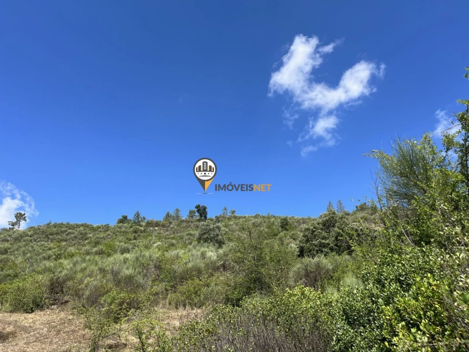 Terreno para Venda em Castelo Branco Foto 14