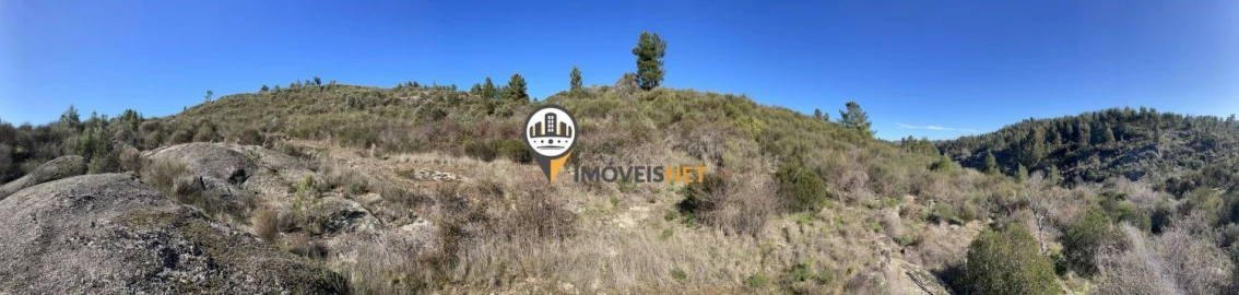 Terreno para Venda em Castelo Branco