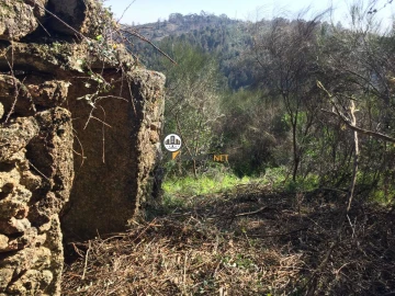Terreno para Venda em Castelo Branco