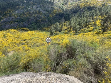 Terreno para Venda em Castelo Branco