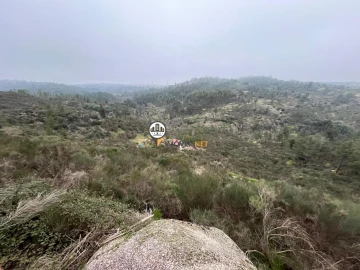 Terreno para Venda em Castelo Branco