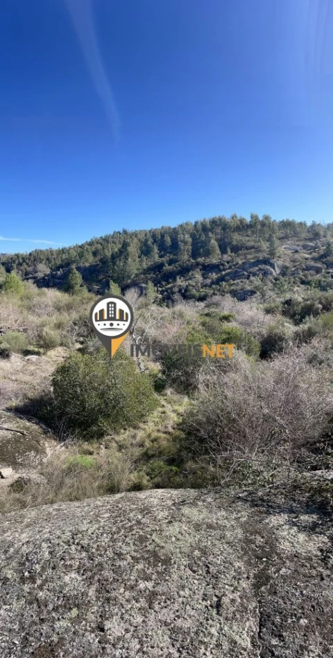 Terreno para Venda em Castelo Branco