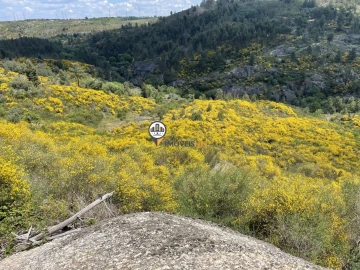 Terreno para Venda em Castelo Branco
