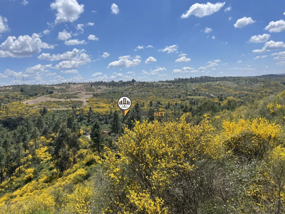 Terreno para Venda em Castelo Branco Foto 20