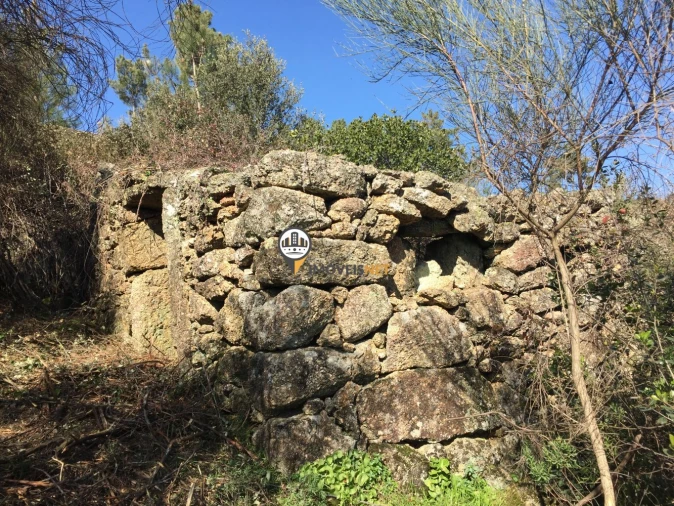 Terreno para Venda em Castelo Branco Foto 10
