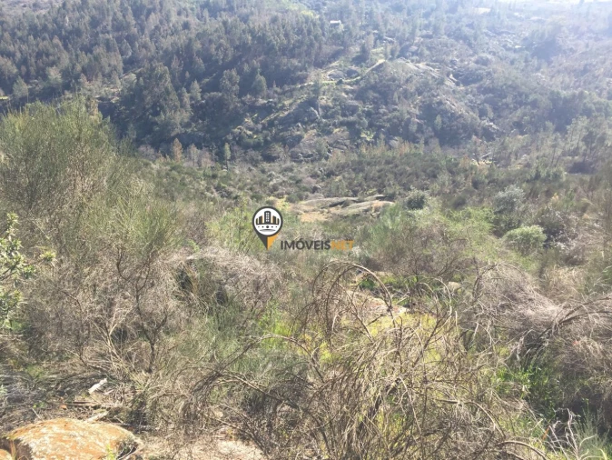 Terreno para Venda em Castelo Branco Foto 12