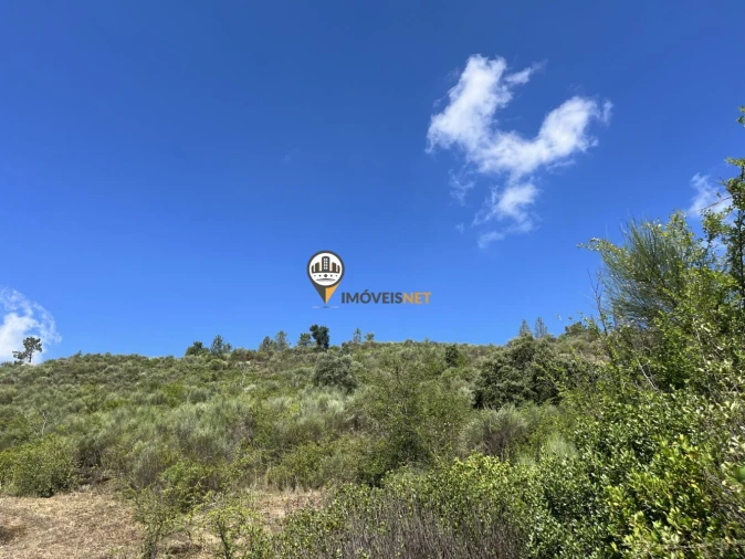 Terreno para Venda em Castelo Branco Foto 14